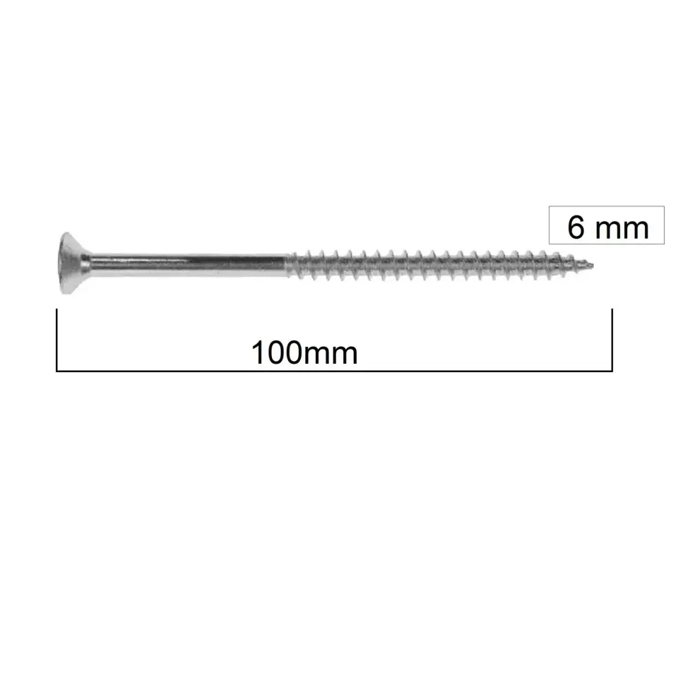 MERİDYEN SUNTA VİDASI 6x100 (100 AD.)