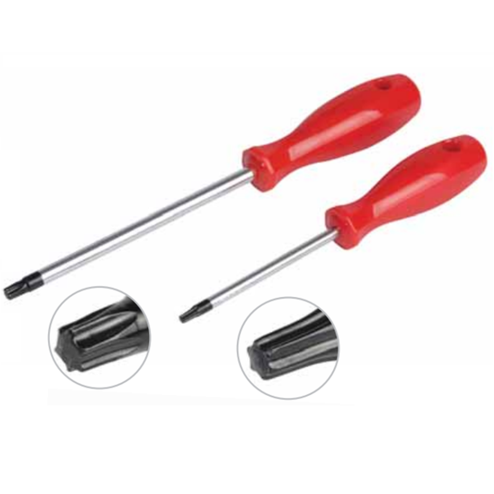 TORX TORNAVİDA T10